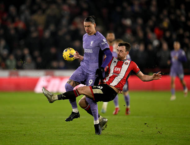 在今年的比 在今年的比