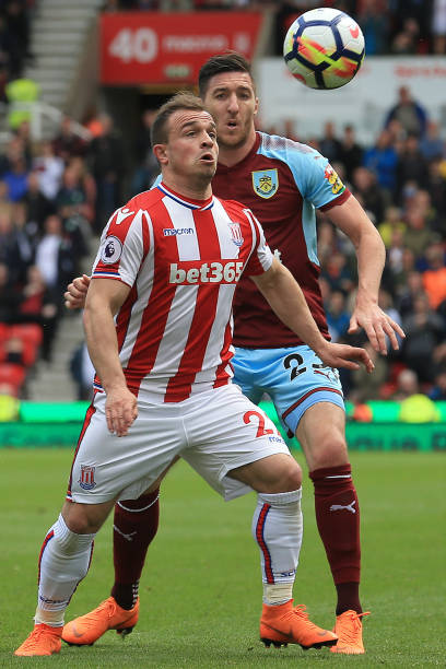 在塔雷米加 在塔雷米加